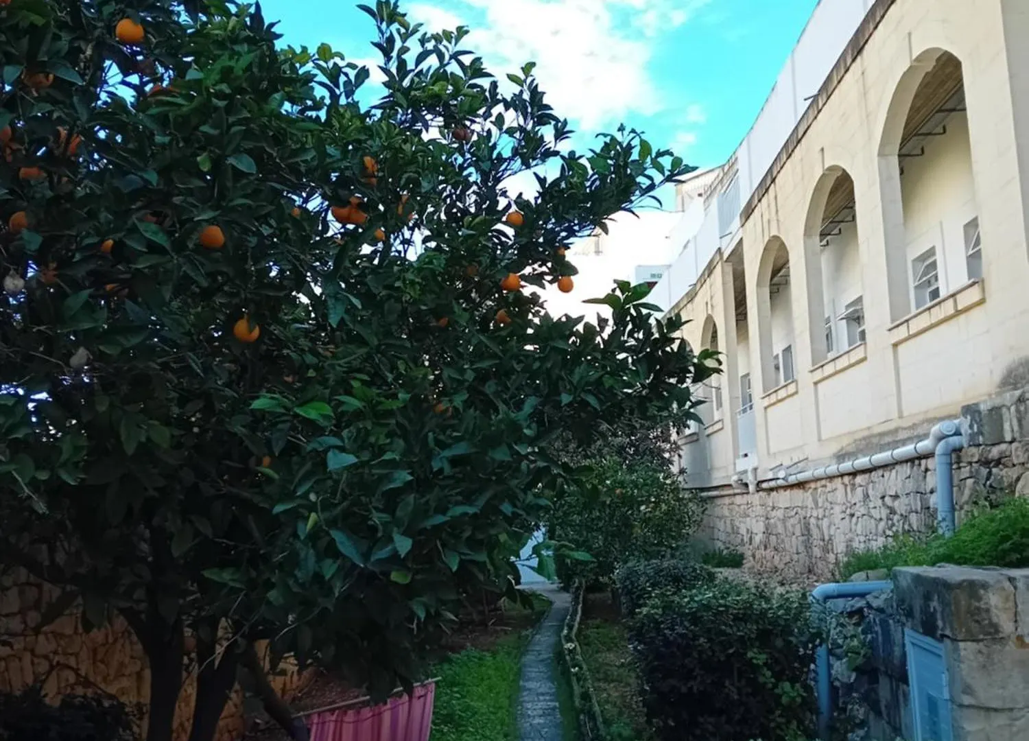 Follow The Sun Boutique Hostel - Pool, Breakfast & Sea Views Сент Джулианс 0*,  Мальта